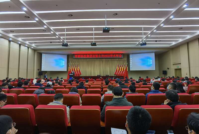 有研集團(tuán)召開2020年學(xué)術(shù)年會(huì)