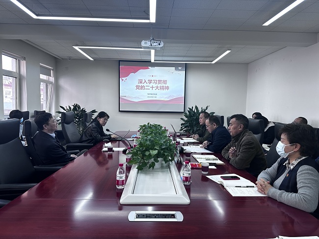 有研集團(tuán)黨委委員、副總經(jīng)理李彥利到有研興友宣講黨的二十大精神