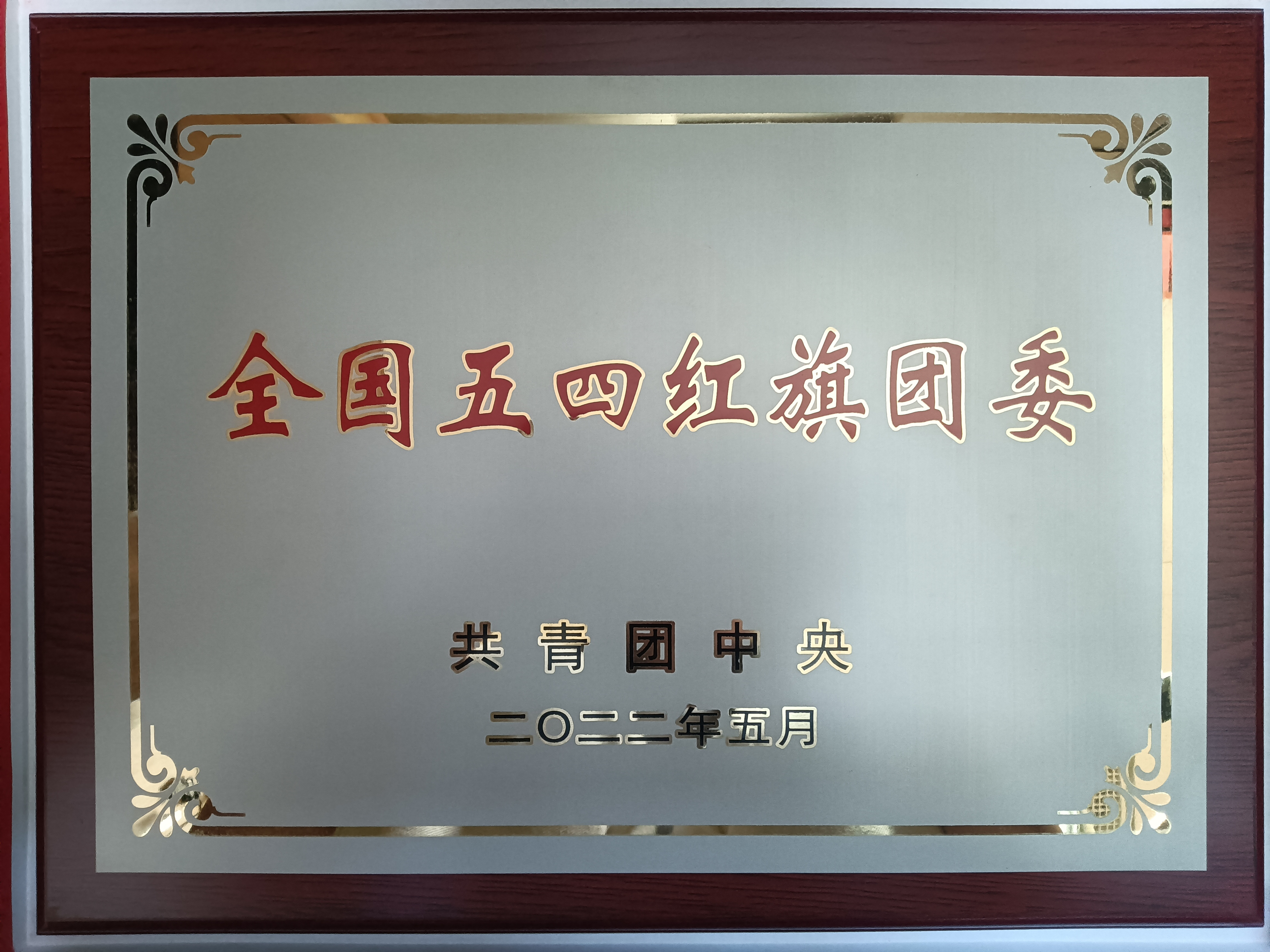 青春當(dāng)燃！2022，有研青年這樣走過(guò)