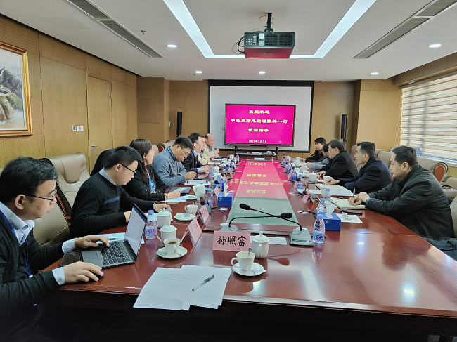 中色（寧夏）東方集團有限公司總經理陳林一行到訪有研工研院
