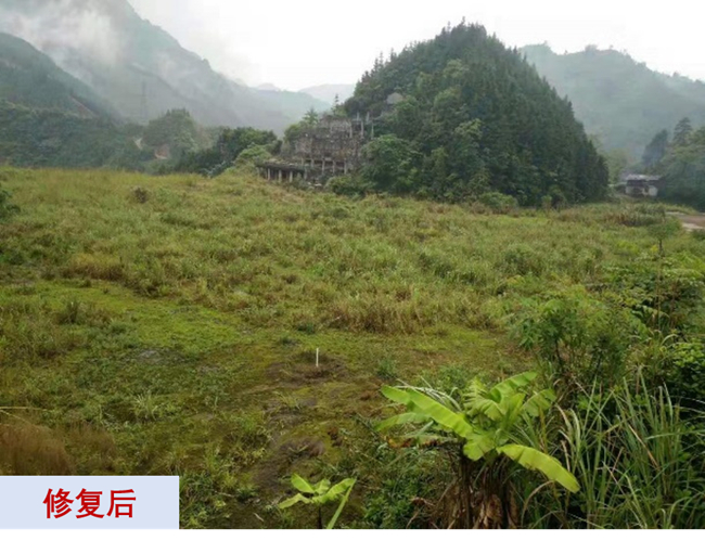 主題教育進(jìn)行時(shí) | “學(xué)思想、強(qiáng)黨性、重實(shí)踐、建新功”有研故事系列展播（十一）打造重金屬污染治理和生態(tài)環(huán)保的有研力量