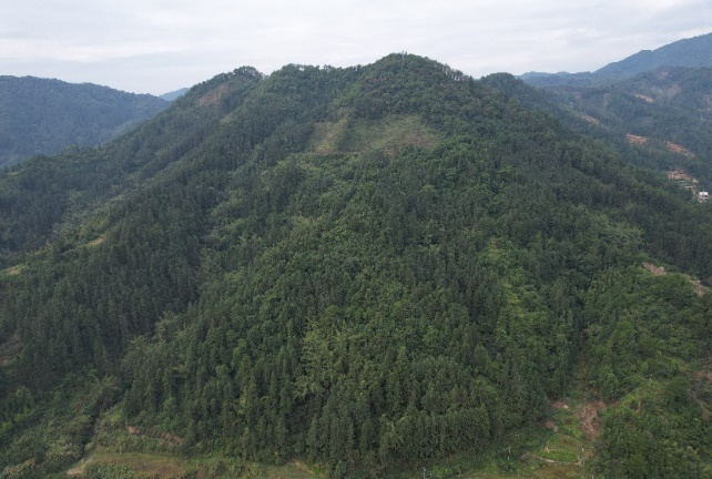 中國有研：深入踐行習近平生態(tài)文明思想，扎實開展主題教育助推美麗中國建設