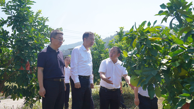 中國有研黨委書記、董事長趙曉晨赴貴州思南調(diào)研集團定點幫扶工作